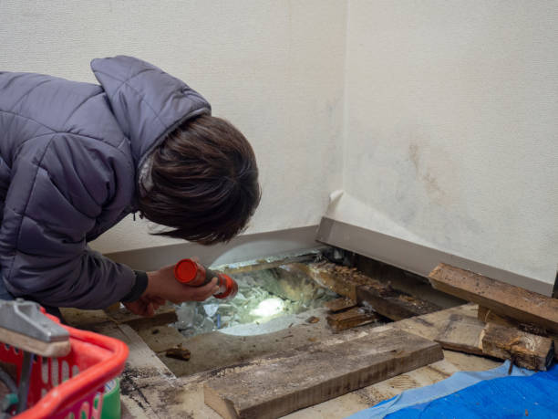 Best Industrial Mold Remediation  in Creedmoor, NC
