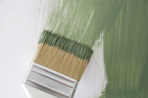 Best Mold Odor Removal Services  in Creedmoor, NC