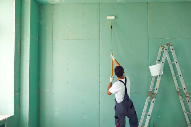 Best Emergency Mold Remediation  in Creedmoor, NC
