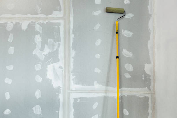 Best Mold Removal for HVAC Installations  in Creedmoor, NC