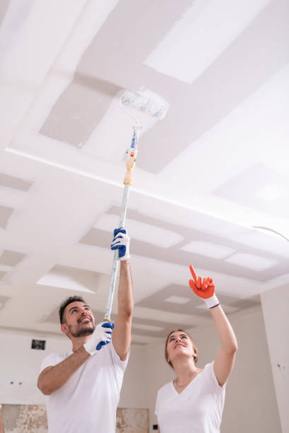 Best Air Quality Testing for Mold Spores  in Creedmoor, NC