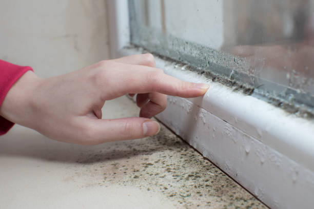 Best Forensic Mold Investigation  in Creedmoor, NC