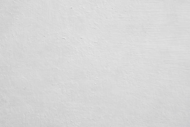 Best Commercial Mold Inspection  in Creedmoor, NC