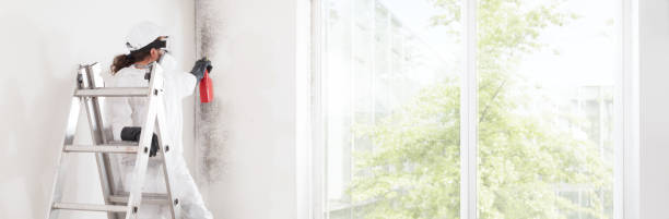 Best Biohazard Mold Removal  in Creedmoor, NC