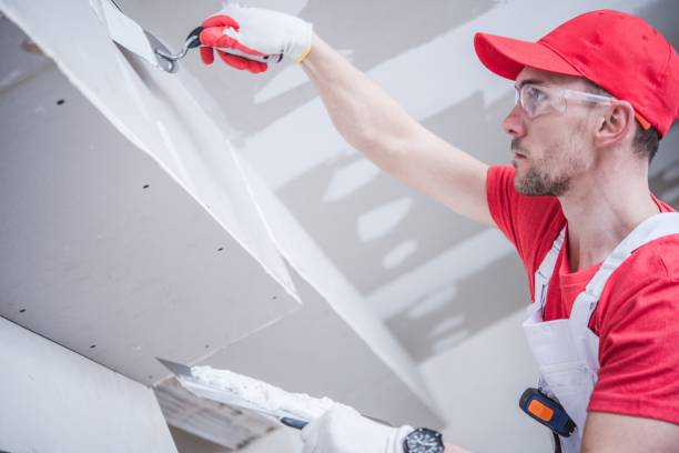  Creedmoor, NC Mold Removal Pros