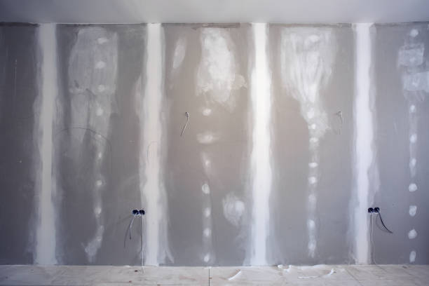 Best Attic Mold Removal  in Creedmoor, NC